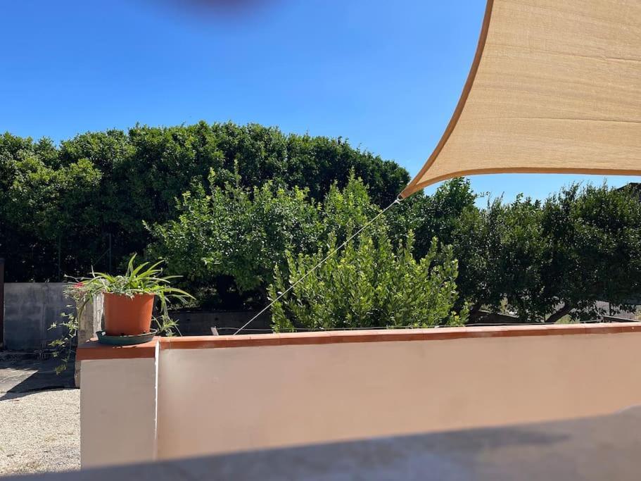 Apartment -etna Sunshine Piedimonte- *